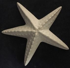 ESTRELLA DE MAR